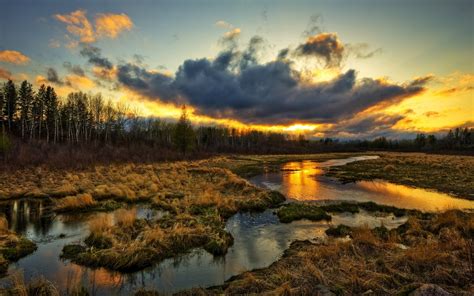 Wetlands Trees Clouds Sunset Grass Water Stream Beautiful Scenery