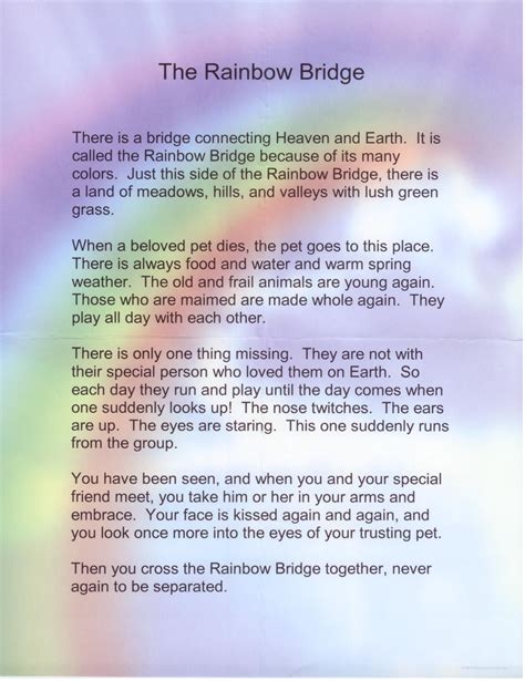 The Rainbow Bridge Quotes Be Much Good E Zine Stills Gallery