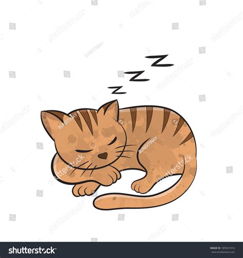 Maine Coon Gato Durmiendo Dibujos Animados Clipart Vector FriendlyStock