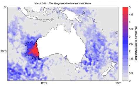 Marine Heatwaves The Ningaloo Niño Event Integrate Sustainability