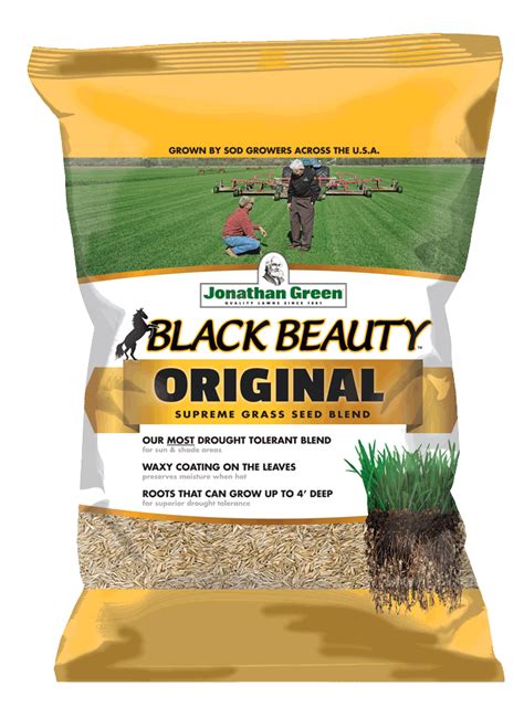 Black Beauty Original Grass Seed Drought Tolerant Tall Fescue Turf