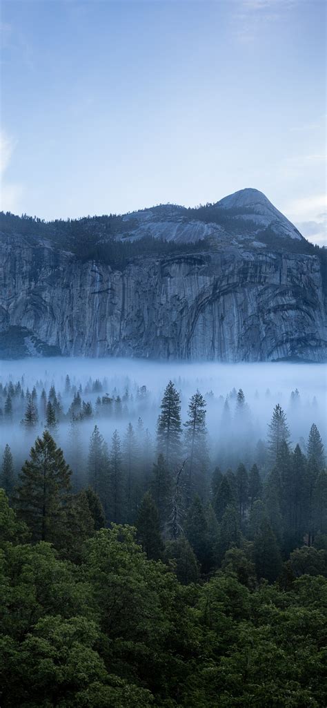 1242x2688 Yosemite National Park 8k Landscape Iphone Xs Max Wallpaper