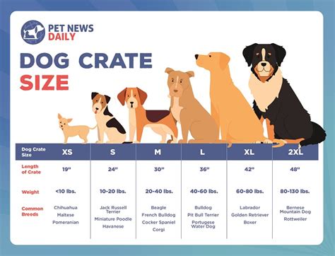 Dog Crate Size Chart By Breed Size Weight Pet News Daily