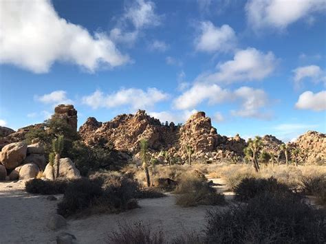 Hidden Valley Joshua Tree National Park 2020 All You Need To Know