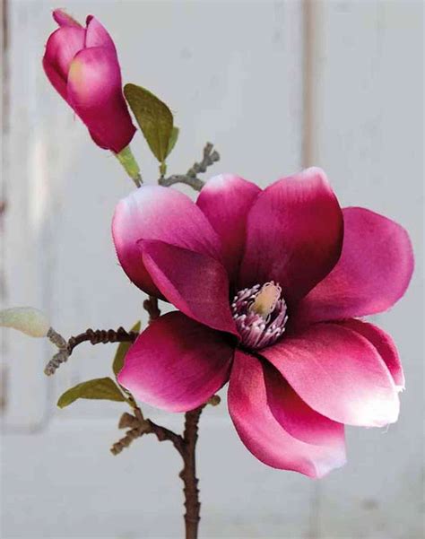 Artificial flowers magnolia branch in blush pink. Artificial magnolia FEMI, pink, 14"/35cm, Ø4.7"/12cm | SKU ...