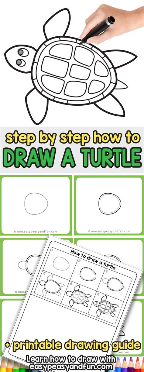 They use this ability to lay their eggs on land. How to Draw a Turtle - Step by Step Drawing Tutorial ...