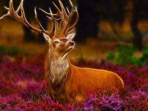 Nice Animals Fractal All About Photo Deer Wallpaper Animal