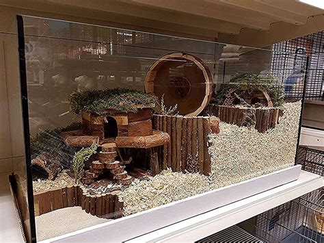 Amazing Hamster Cage And Tank Setups
