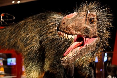Fine Feathered Fiends ‘dinosaurs Among Us At The American Museum Of Natural History The New