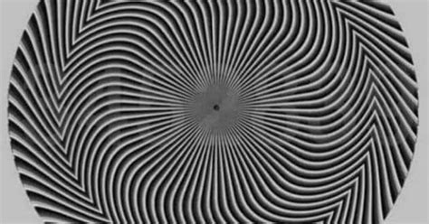 Optical Illusions In Black And White Hot Sex Picture
