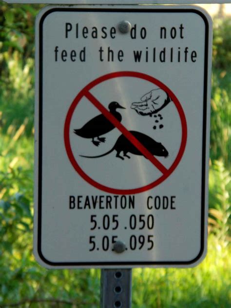 Free Picture Sign Advising Feeding Wildlife