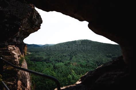 Scenic View Of A Lush Forest Landscape From A Cave Stock Image Image