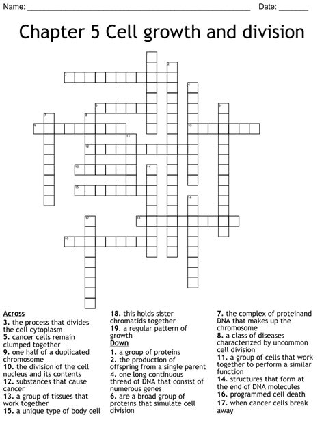 Chapter 5 Cell Growth And Division Crossword Wordmint