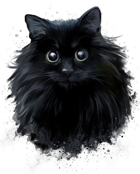 The Black Cat By Lorri Kajenna With Images Cats Art Drawing Black