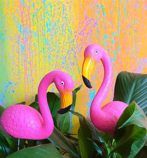 Pin By Funky Aesthetics On Aesthetic Tropical Flamingo Pink