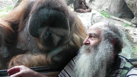 Tierparks Zoo Der Zukunft Managen Affen Ihr Affenhaus Bald Selbst