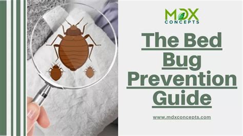 Ppt The Bed Bug Prevention Guide Powerpoint Presentation Free