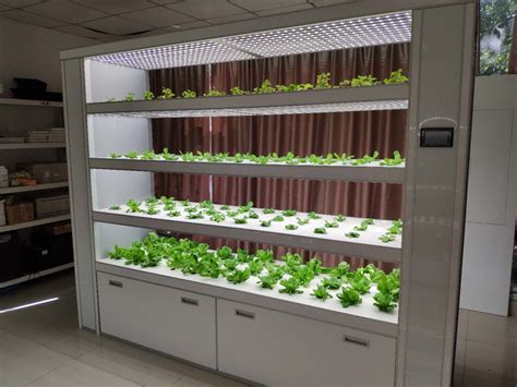Indoor Hydroponic Farm Almirah L Hydroponics Systems For Home