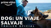 Dog: Un Viaje Salvaje - Tráiler oficial | Prime Video - YouTube
