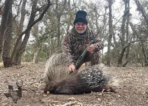 January 20 2022 Trophy African Porcupine Hunting — Texas Hunt Lodge