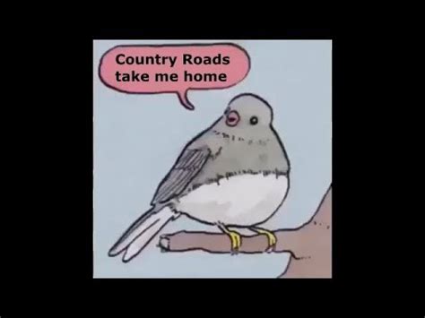 Saddington 2e @hayley hud sad cowboy @saddestcowboy_ cultural impact: Country Roads Meets a NEW Challenger MEME - YouTube