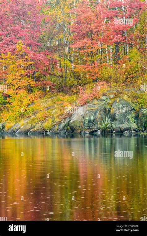 Autumn Reflections In Simon Lake Greater Sudbury Ontario Canada