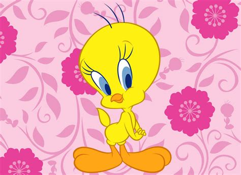 Imagenes De Piolin Bebé Imagui