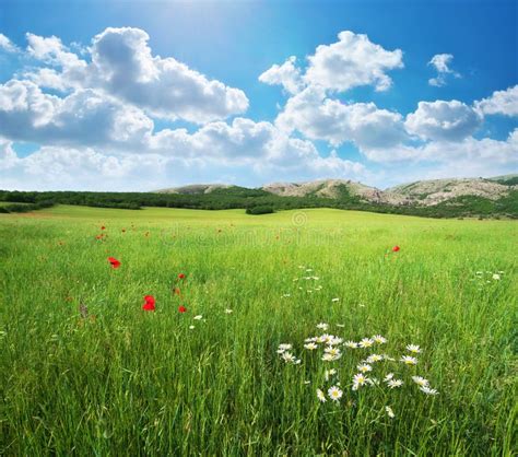 Green Meadow Stock Photo Image Of Ciel Country Outside 66285678