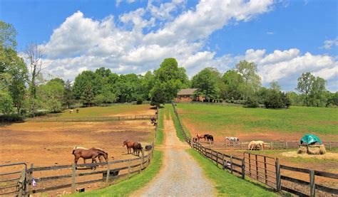 Northwind Stables 🐎 Virginia Horse Farms For Sale