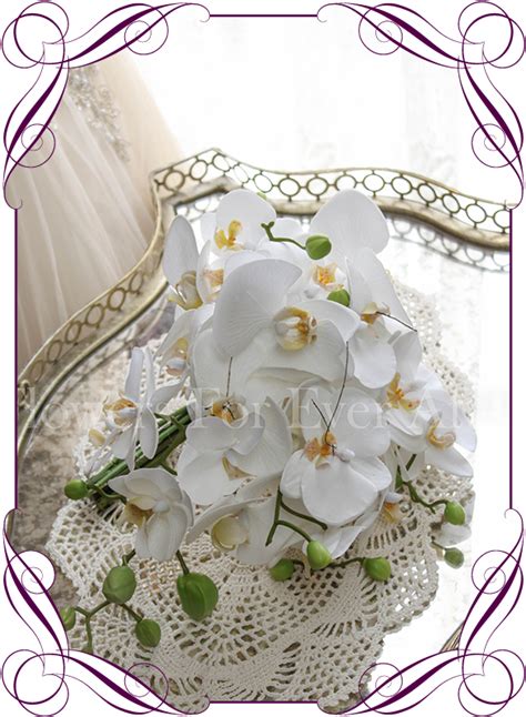 Download Contemporary Simple Falling Phalaenopsis Orchid Cascading