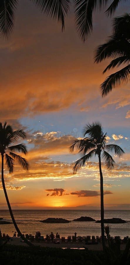 Tropical Sunset Stock Image Image Of Honolulu Glow Travel 6571397
