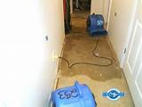 Maryland Mold Remediation Services Act