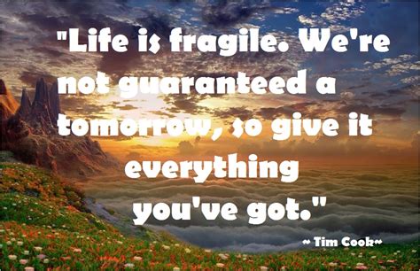 Human spirit is the ability to face the uncertainty of the future with curiosity and optimism. Life Is Fragile Quotes. QuotesGram