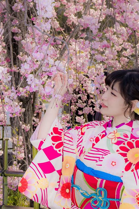 misamisa 🐻‍ ️®️＊🐼 on twitter 夢だった京都で着物👘💕 桜の中でも強めピンクのしだれ桜が1番すき🌸 撮影 しゅうへいさん sekai saikyo ポトレ