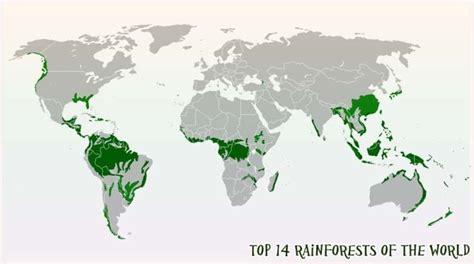 Worlds Top Rainforests Tropical Rainforests Bioexplorer