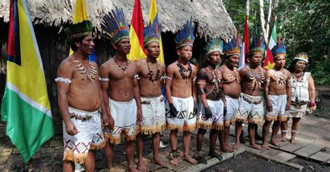 Los Indígenas Del Amazonas El Oficio De Historiar