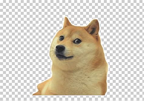 Pc computer roblox attack doge the models resource. Doge Roblox Shirt - Free Robux On Yt