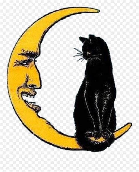 Moon Grunge Cat Drawing Clipart 5385112 Pinclipart