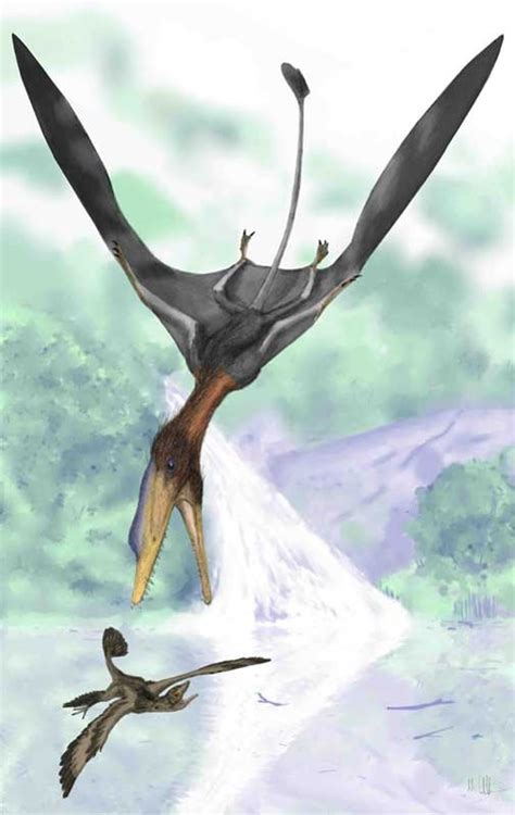 New Ancient Flying Reptile Discovered Scientific American