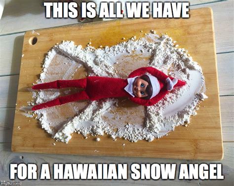 Hawaii Memes And S Imgflip