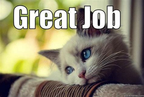 Check out more awesome business cat memes or make your own. Image result for super great job meme | Unbelievable funny pictures, Missing you memes, Cat memes