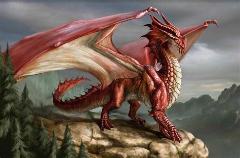 Royal Mint Launch The Welsh Dragon The Latest £20 Face