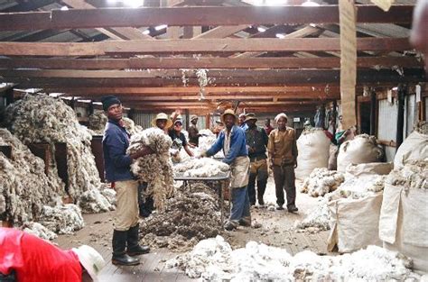 Wool Processing Plant Picture Of Lesotho Africa Tripadvisor