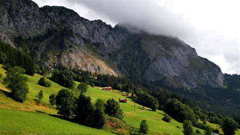 Greenery Mountains Valley Trees Landscape View Of Fog Covered Mountains