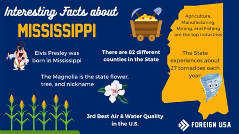10 Interesting Facts About The Mississippi River Learnodo Newtonic