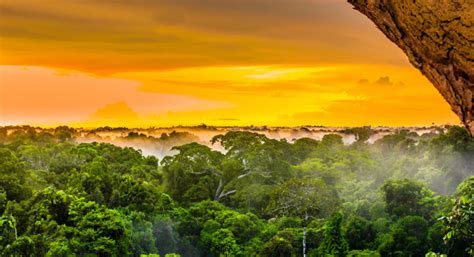 How To Visit The Amazon Rainforest Amazon Travel Guide