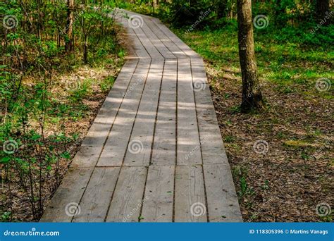 Wooden Boardwalk In Bog Swamp Area Stock Photo Image Of Nature