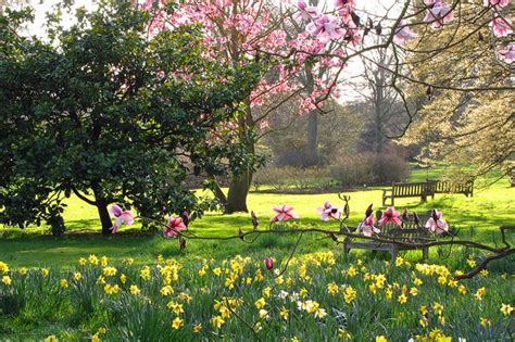 Give Your Garden A Spring Makeover 13 Tips From The