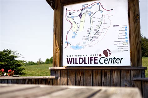 West Virginia Wildlife Center West Virginia Division Of Natural
