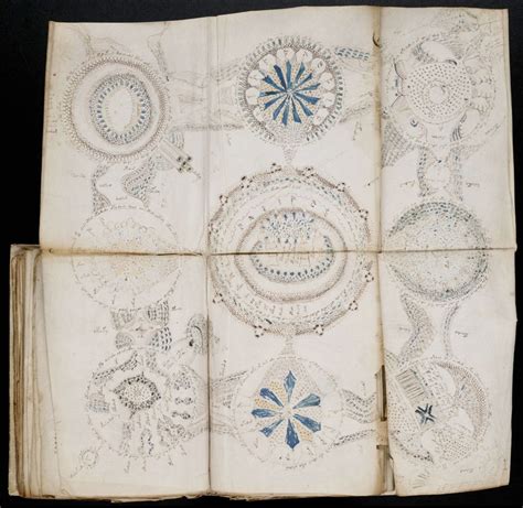 10 Words In Mysterious Voynich Manuscript Decoded Live Science